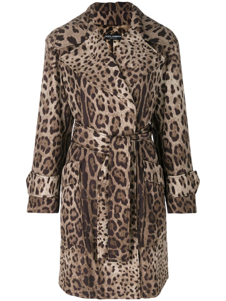 Dolce & Gabbana Leopard Print Belted Coat - Multicolour