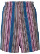 Paura Striped Embroidered Shorts - Blue