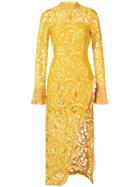 Alexis Ruffle-trimmed Lace Dress - Yellow