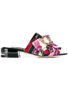 Dolce & Gabbana Flower Print Mules - Purple