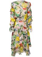 Preen By Thornton Bregazzi Floral Oriana Dress - Multicolour