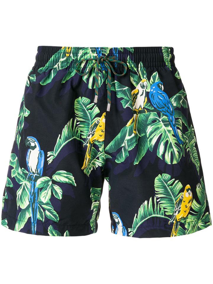 Stella Mccartney Exotic Print Swim Shorts - Blue