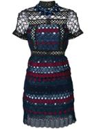 Amuse 12lady-type - Blue