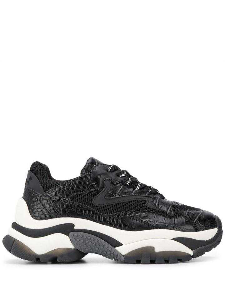 Ash Ash F19addict03 Blk Artificial->artificial Leather - Black