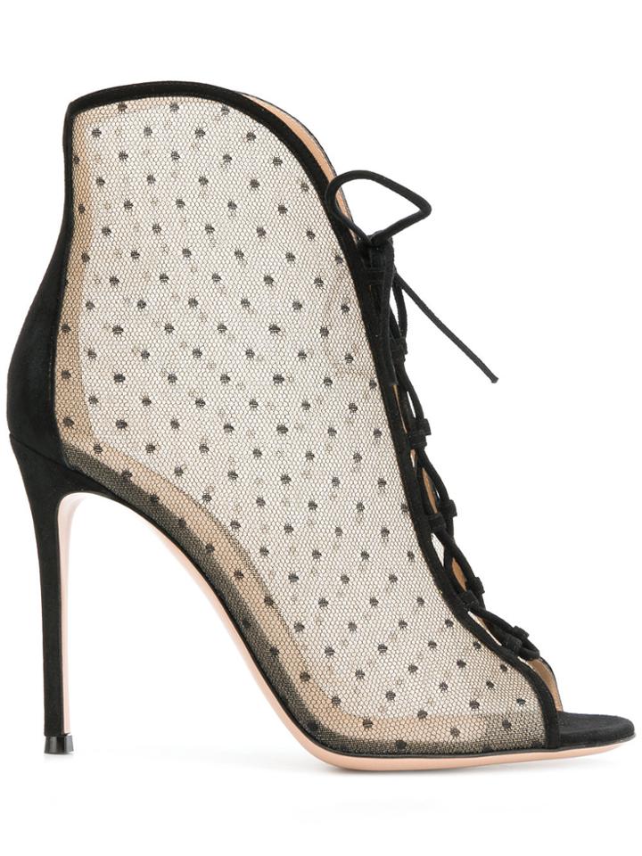Gianvito Rossi Point D'esprit Lace-up Ankle Booties - Black