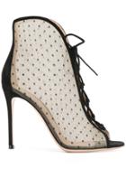 Gianvito Rossi Point D'esprit Lace-up Ankle Booties - Black