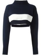 Jil Sander Navy Cropped 'bandeau' Turtleneck Sweater