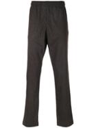 Department 5 Regular Trousers - Brown