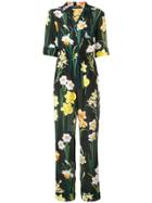 Dolce & Gabbana Narcisi Floral Jumpsuit - Black