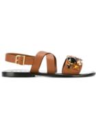 Marni Embellished Sandals, Women's, Size: 37.5, Brown, Calf Leather/leather/rubber