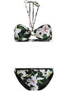 Dolce & Gabbana Lily Print Bikini - Green