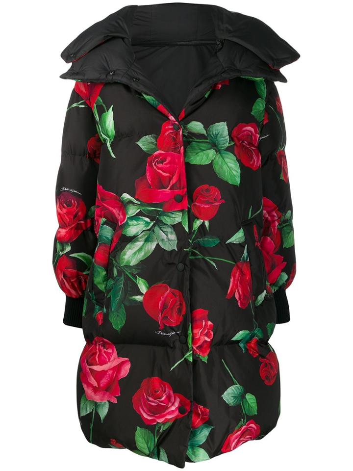 Dolce & Gabbana Rose-print Padded Coat - Black