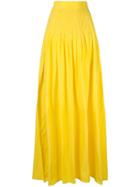 Alexis Pleated A-line Skirt - Yellow