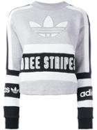 Adidas Originals Three Stripes Printed Sweatshirt, Women's, Size: 40, Grey, Cotton/polyester/organic Cotton