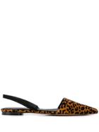 Dvf Diane Von Furstenberg Koko Ballerina Shoes - Brown