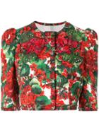 Dolce & Gabbana Portofino Print Cropped Jacket - Red