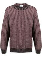 Salvatore Ferragamo Chunky Knit Jumper - Pink