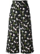 Vivetta - Floral Cropped Trousers - Women - Cotton - 42, Black, Cotton