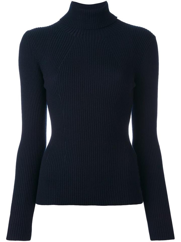 3.1 Phillip Lim Ribbed Roll Neck Jumper, Women's, Size: Xs, Blue, Spandex/elastane/wool