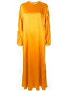 Roksanda Long-sleeve Maxi Dress - Yellow