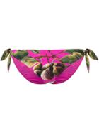 Dolce & Gabbana Bikini Bottoms - Pink & Purple