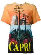 Dolce & Gabbana Capri Print T-shirt, Women's, Size: 46, Silk
