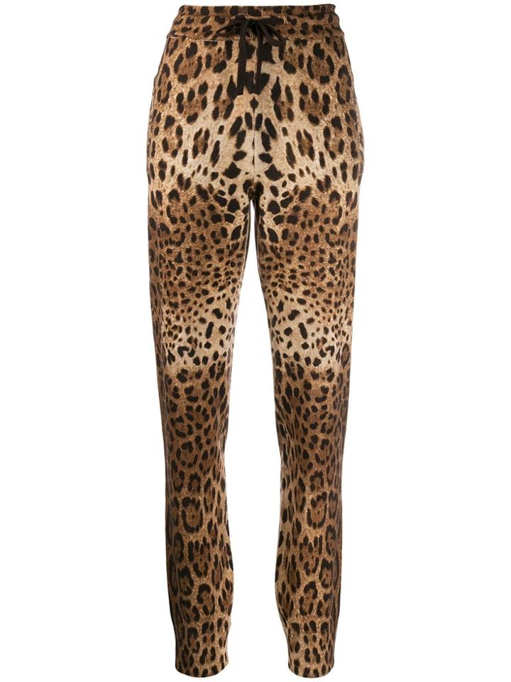 Dolce & Gabbana Cashmere Leopard Print Track Pants - Brown