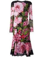 Dolce & Gabbana Rose (pink) Print Dress, Women's, Size: 40, Silk/polyamide/spandex/elastane/silk