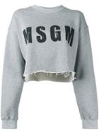 Msgm Logo Print Cropped Sweatshirt, Women's, Size: Small, Grey, Cotton/viscose