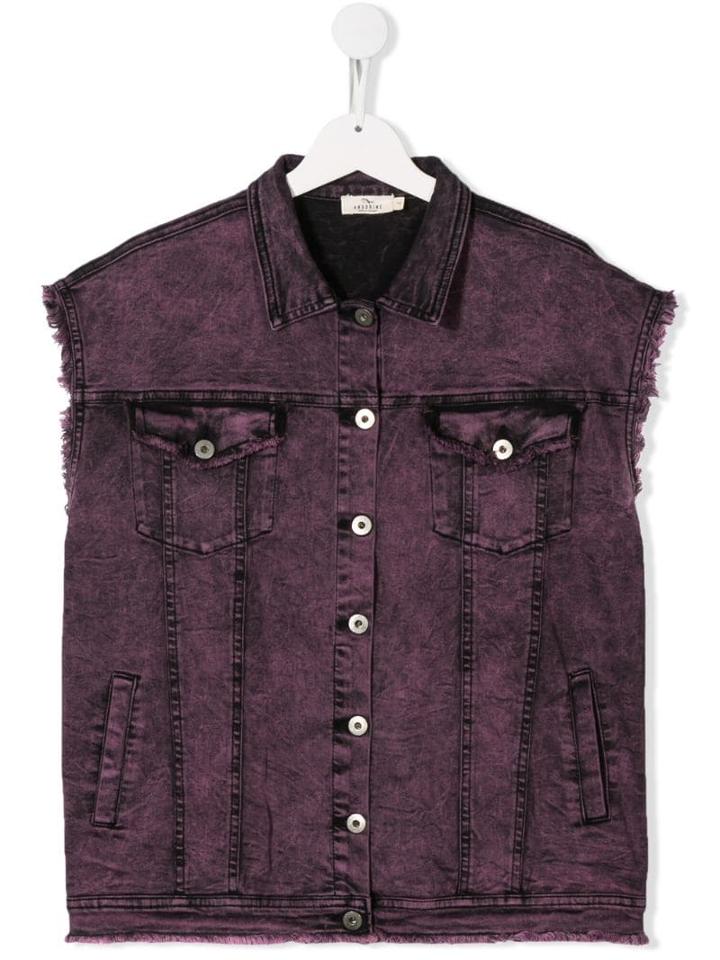 Andorine - Purple