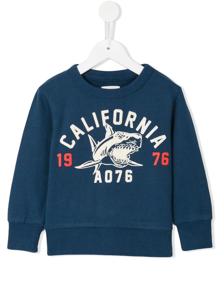 American Outfitters Kids Shark Print Sweatshirt, Boy's, Size: 8 Yrs, Blue