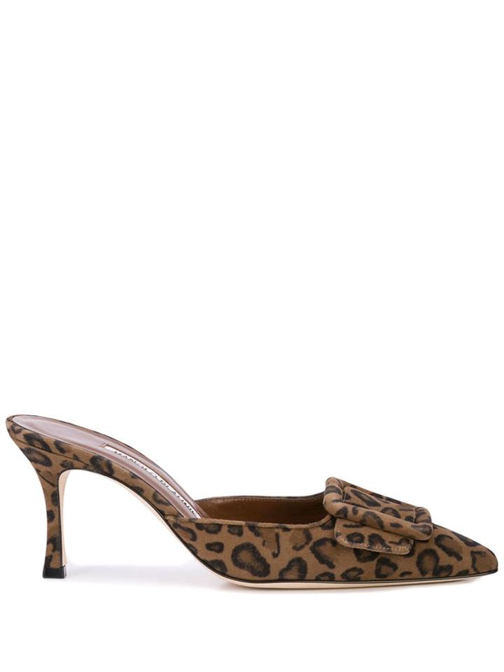 Manolo Blahnik May Mules - Brown
