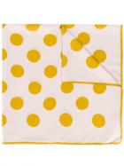 Holland & Holland Dotted Silk Scarf - Neutrals