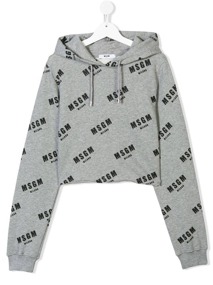 Msgm Kids Monogram Printed Cropped Hoodie - Grey