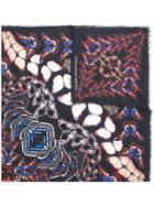 Alexander Mcqueen Metamorphosis Butterfly Pashmina - Multicolour