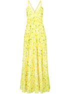 Alice+olivia Long Floral Print Dress - Yellow & Orange