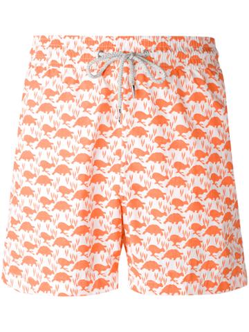 Love Brand Turtle Print Swim Shorts - Yellow & Orange