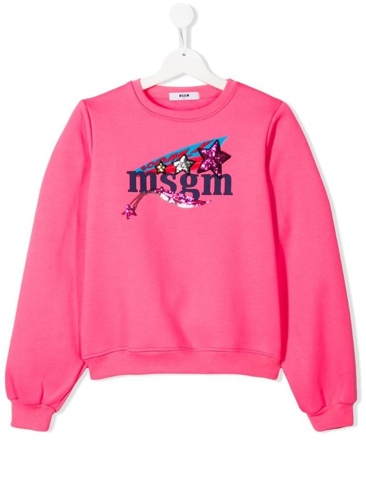 Msgm Kids Teen Branded Sweatshirt - Pink