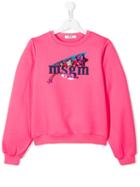 Msgm Kids Teen Branded Sweatshirt - Pink