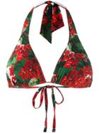 Dolce & Gabbana Floral Print Bikini - Red