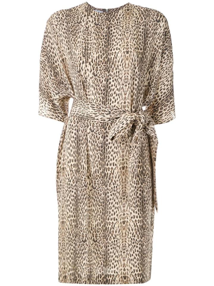 Gloria Coelho Belted Leopard Print Dress - Multicolour