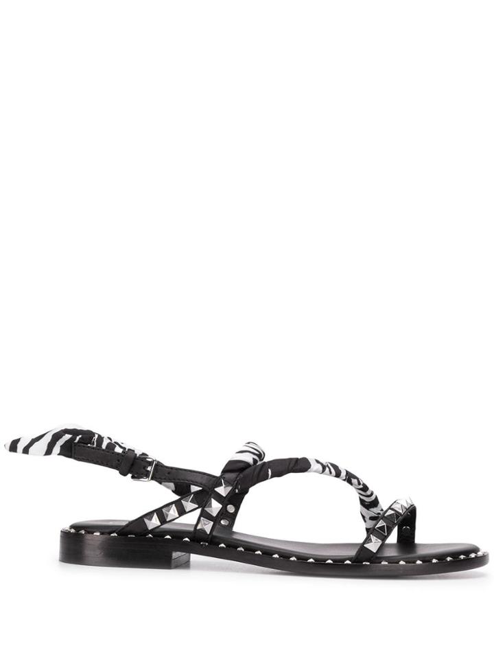 Ash Studed Flat Sandals - Black