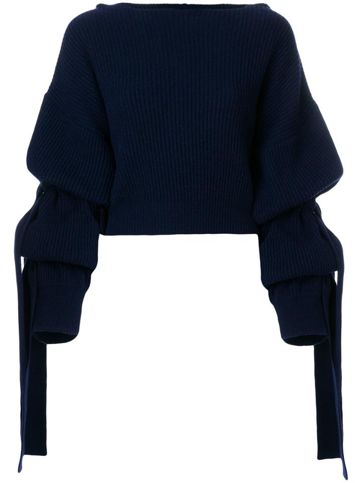 Stella Mccartney Ribbed Hood Jumper - Blue