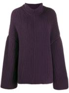 Nanushka Chunky Turtleneck Jumper - Purple