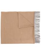 Fabiana Filippi Fringed Scarf - Brown