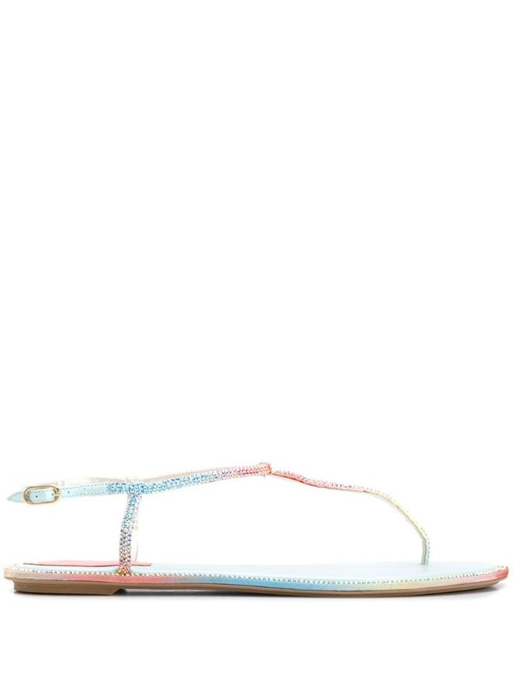 René Caovilla Diana Thong Sandals - Blue