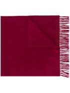 Lanvin Fringed Scarf - Red