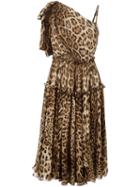 Dolce & Gabbana - Leopard Print Shift Dress - Women - Silk/cotton/polyamide/spandex/elastane - 40, Women's, Brown, Silk/cotton/polyamide/spandex/elastane