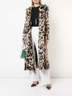 Area Filemona Coat - Brown
