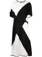 Taylor Void Two-tone Flared Dress - White